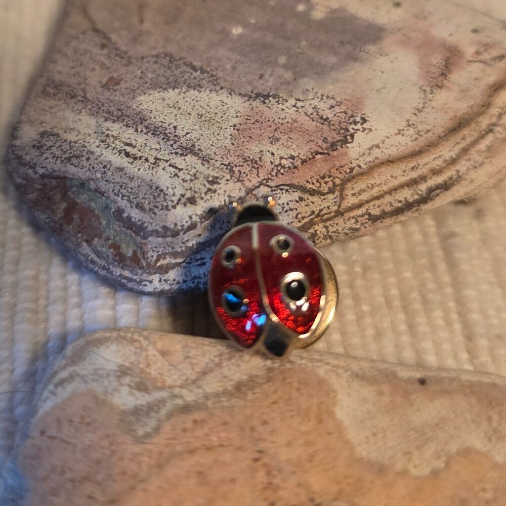 Vintage Avon Lucky Ladybug Pin